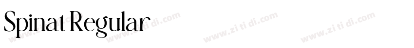 Spinat Regular字体转换 Spinat Regular字体转换